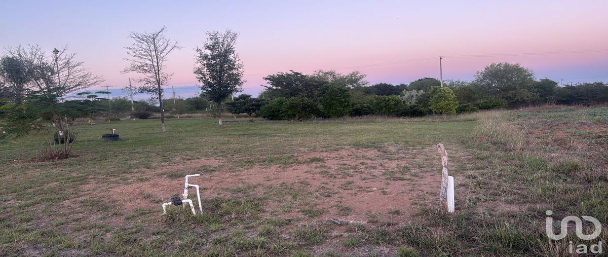 Foto de terreno habitacional en venta en virgen de loreto , valle hidalgo (la cotorra), montemorelos, nuevo león, 0 No. 05