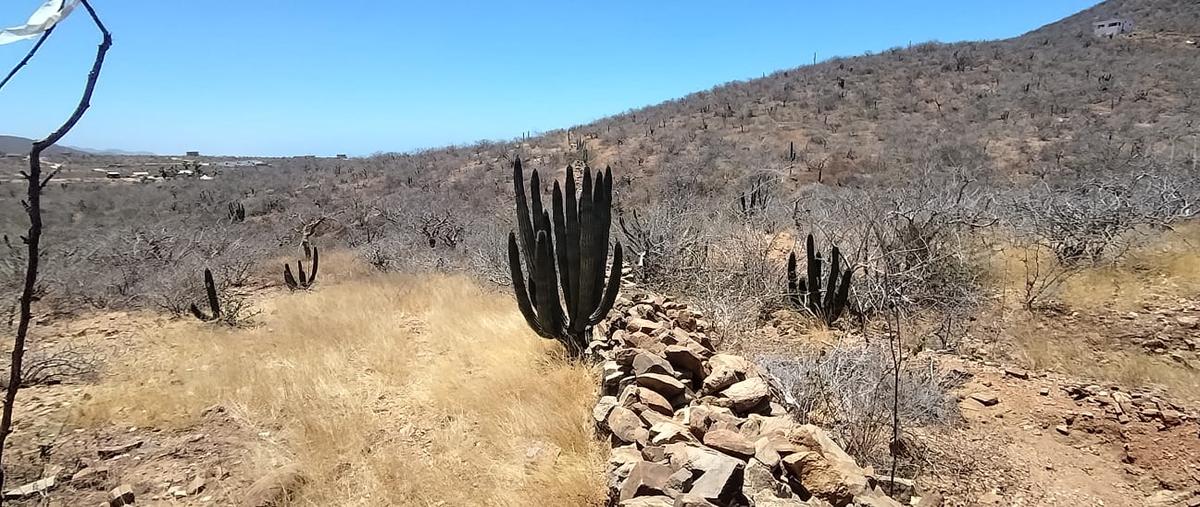 Foto de terreno habitacional en venta en vista 4 vientos mirador , el pescadero, la paz, baja california sur, 31510460 No. 03