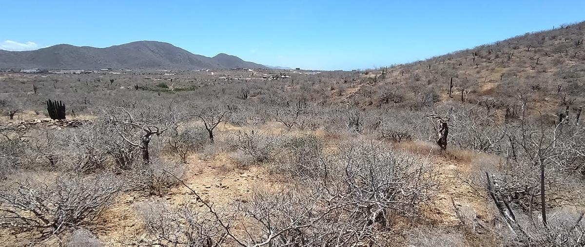 Foto de terreno habitacional en venta en vista 4 vientos mirador , el pescadero, la paz, baja california sur, 31510460 No. 04