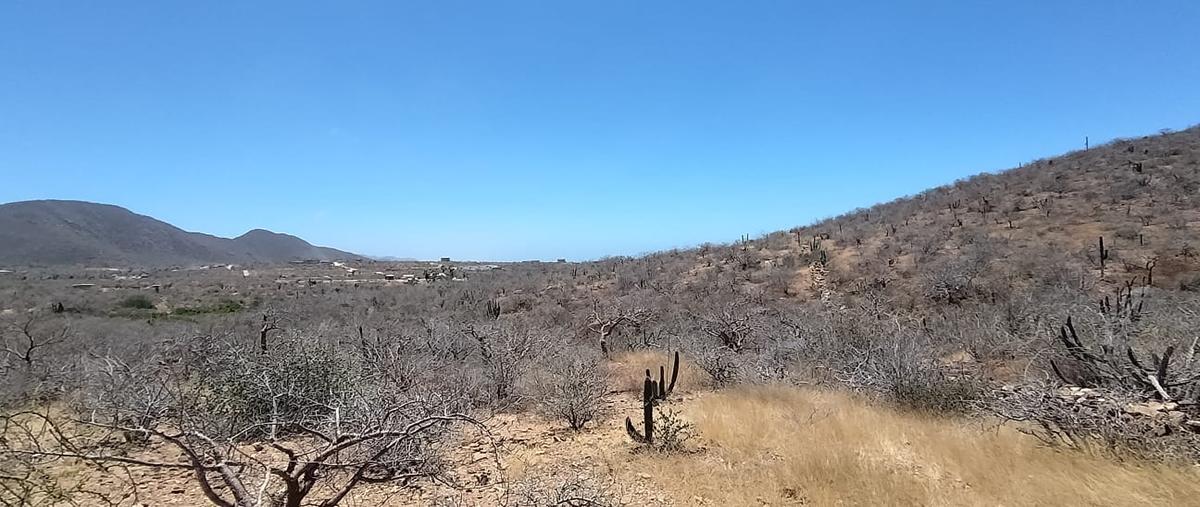 Foto de terreno habitacional en venta en vista 4 vientos mirador , el pescadero, la paz, baja california sur, 31510460 No. 05