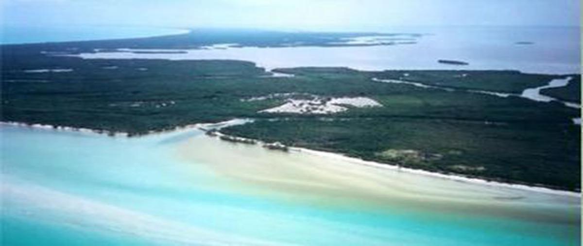 Foto de terreno habitacional en venta en  , vista alegre, isla mujeres, quintana roo, 0 No. 03