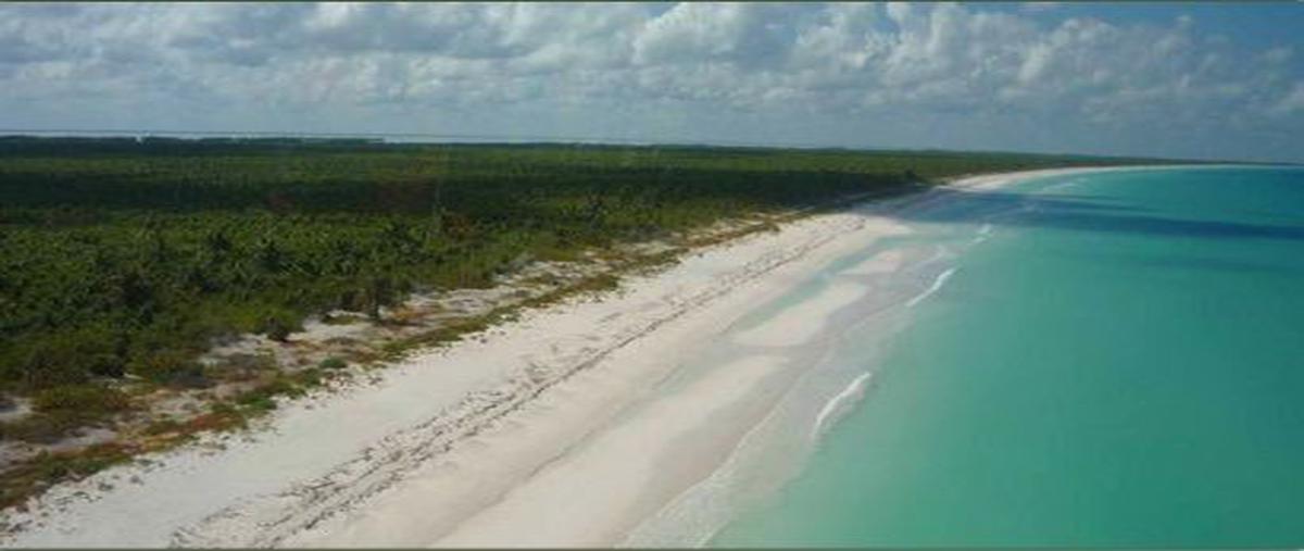 Foto de terreno habitacional en venta en  , vista alegre, isla mujeres, quintana roo, 0 No. 04