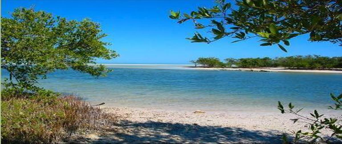 Foto de terreno habitacional en venta en  , vista alegre, isla mujeres, quintana roo, 0 No. 05