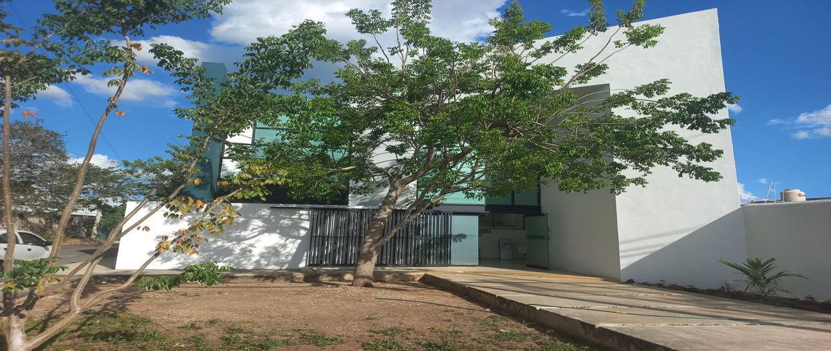 Foto de oficina en , vista alegre, mérida, yucatán, 29888665 foto 02 Foto de oficina en renta en , vista alegre, mérida, yucatán, 29888665 No. 02