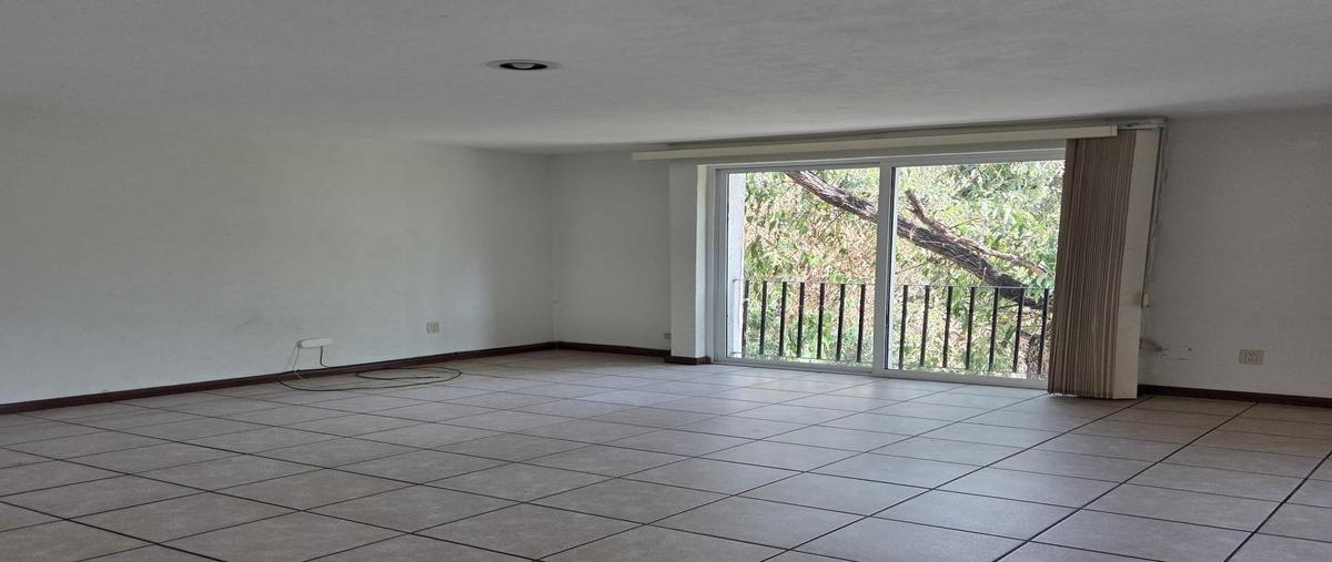 Foto de departamento en renta en  , vista bella, morelia, michoacán de ocampo, 0 No. 05