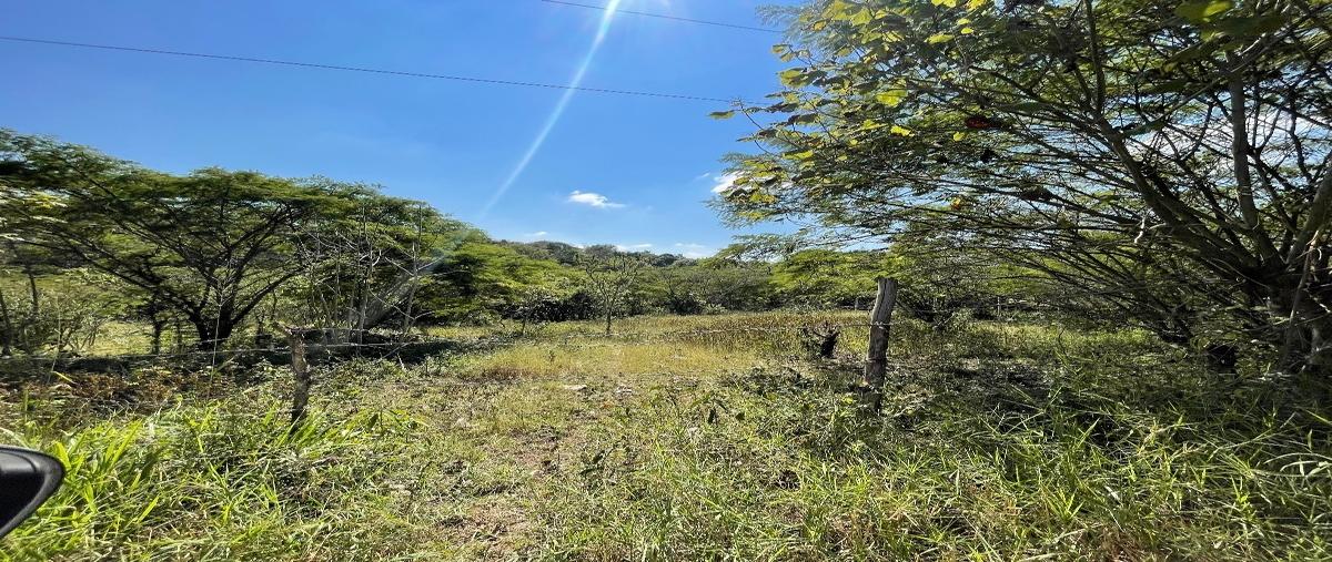 Foto de terreno habitacional en venta en  , vista hermosa, berriozábal, chiapas, 27991338 No. 03
