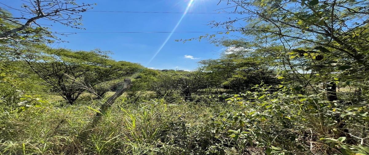 Foto de terreno habitacional en venta en  , vista hermosa, berriozábal, chiapas, 27991338 No. 04