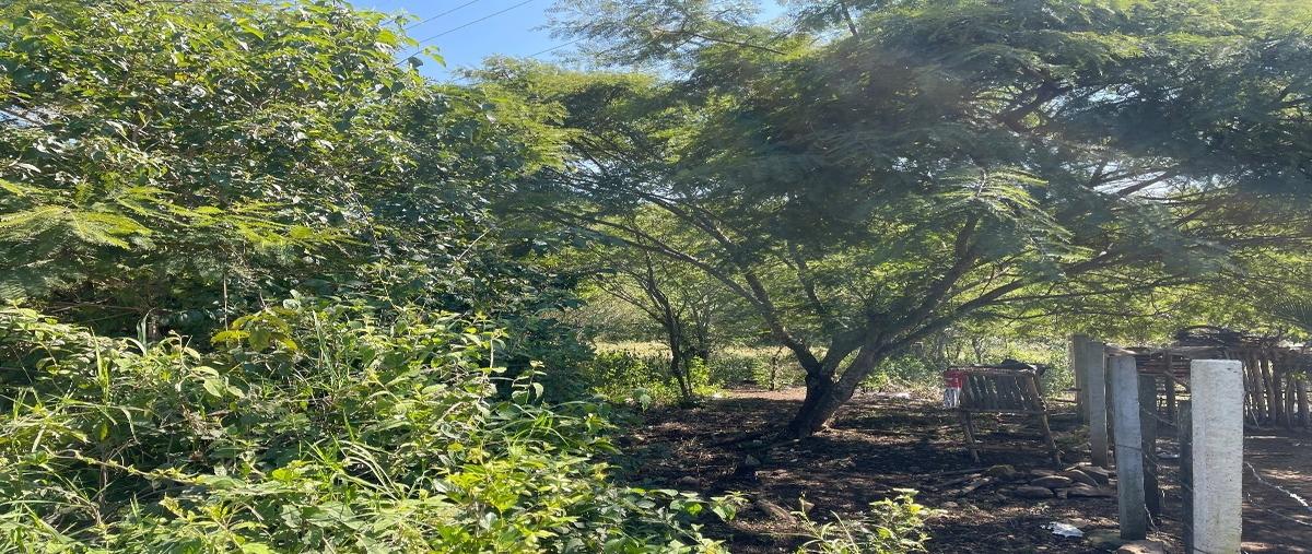 Foto de terreno habitacional en venta en  , vista hermosa, berriozábal, chiapas, 27991338 No. 05