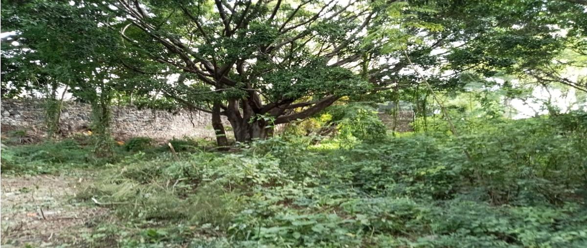 Foto de terreno habitacional en venta en  , vista hermosa, cuernavaca, morelos, 26394201 No. 05