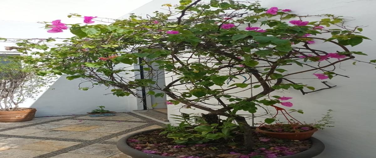 Foto de casa en , vista hermosa, cuernavaca, morelos, 27116425 foto 04 Foto de casa en venta en , vista hermosa, cuernavaca, morelos, 27116425 No. 04