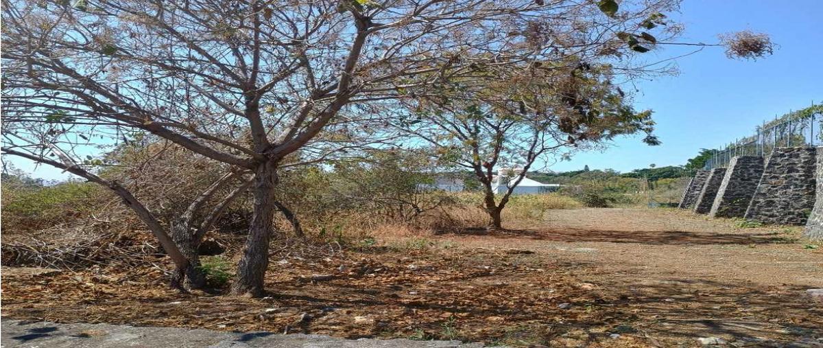 Foto de terreno habitacional en venta en  , vista hermosa, cuernavaca, morelos, 0 No. 03