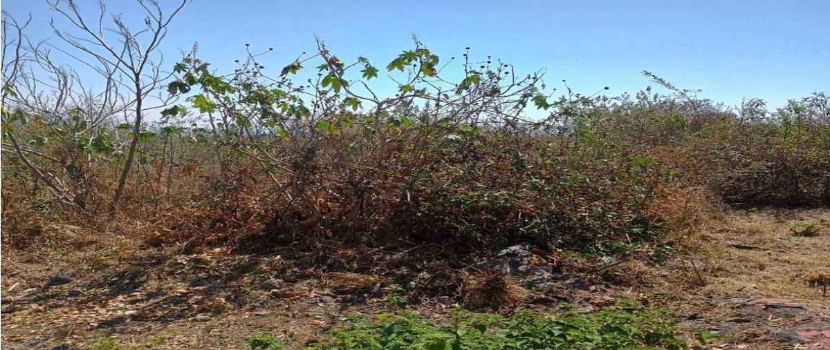 Foto de terreno habitacional en venta en  , vista hermosa, cuernavaca, morelos, 0 No. 05