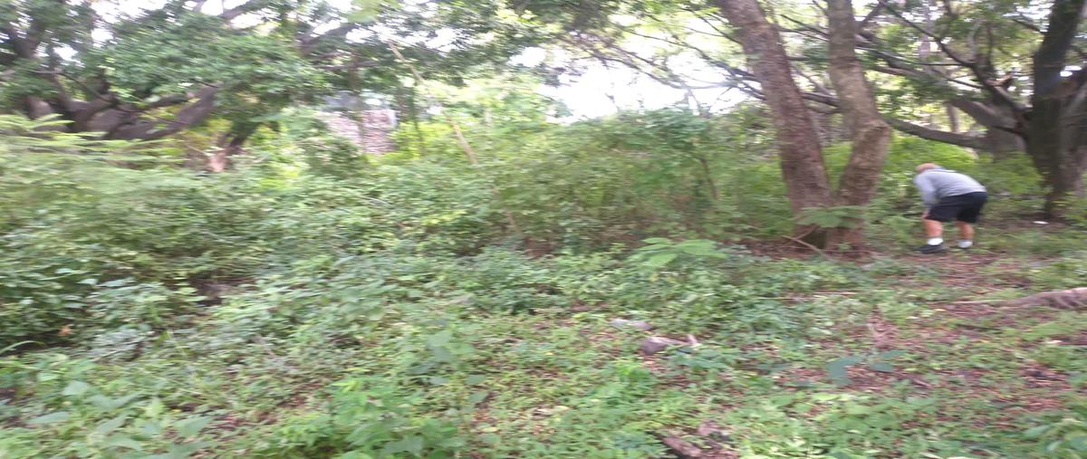 Foto de terreno habitacional en venta en  , vista hermosa, cuernavaca, morelos, 28740549 No. 05