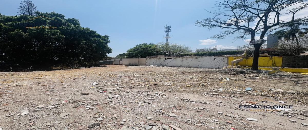 Foto de terreno habitacional en renta en  , vista hermosa, cuernavaca, morelos, 28889813 No. 04