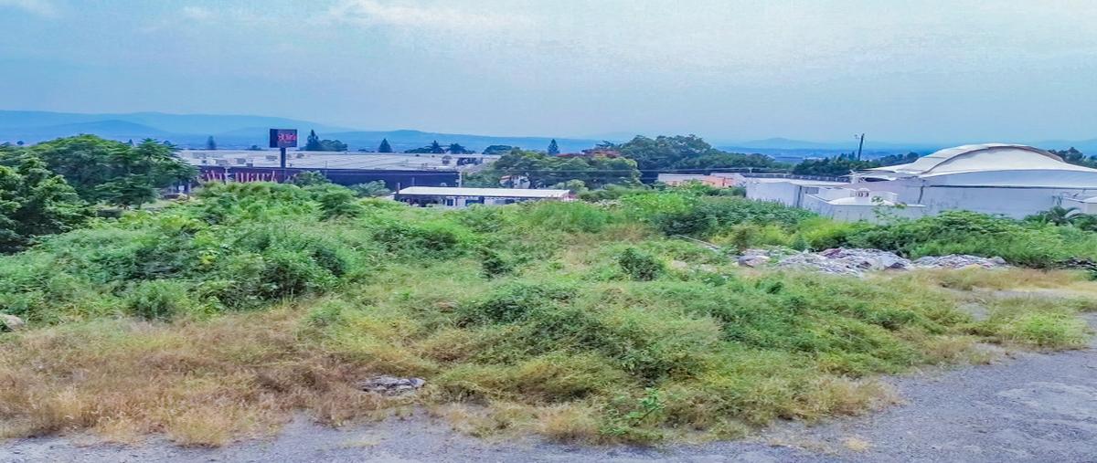 Foto de terreno habitacional en venta en  , vista hermosa, cuernavaca, morelos, 0 No. 04