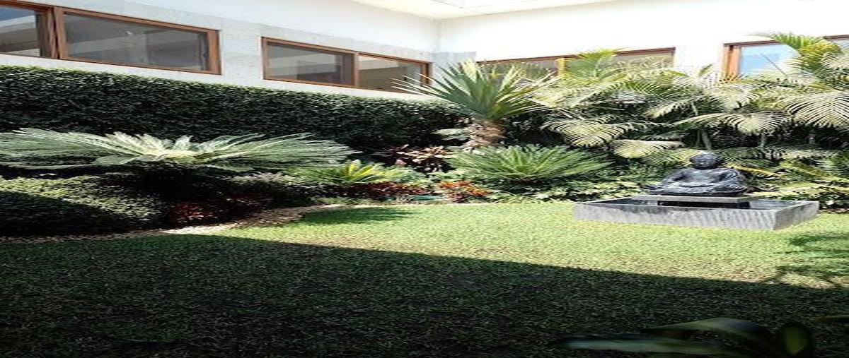 Foto de oficina en , vista hermosa, cuernavaca, morelos, 0 foto 01 Foto de oficina en renta en , vista hermosa, cuernavaca, morelos, 0 No. 01