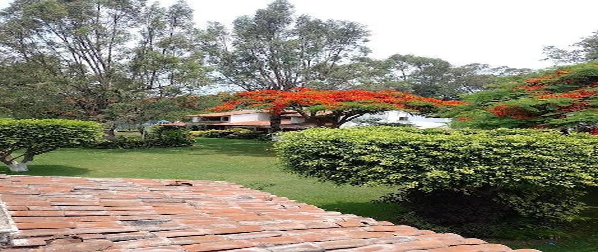 Foto de terreno habitacional en venta en  , vista hermosa, cuernavaca, morelos, 0 No. 05