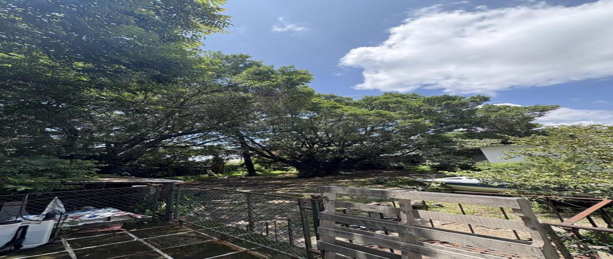 Foto de terreno habitacional en venta en  , vista hermosa, cuernavaca, morelos, 30346405 No. 05