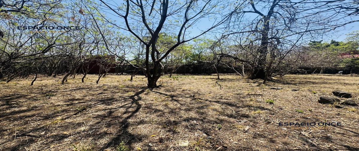 Foto de terreno habitacional en , vista hermosa, cuernavaca, morelos, 0 foto 04 Foto de terreno habitacional en venta en , vista hermosa, cuernavaca, morelos, 0 No. 04
