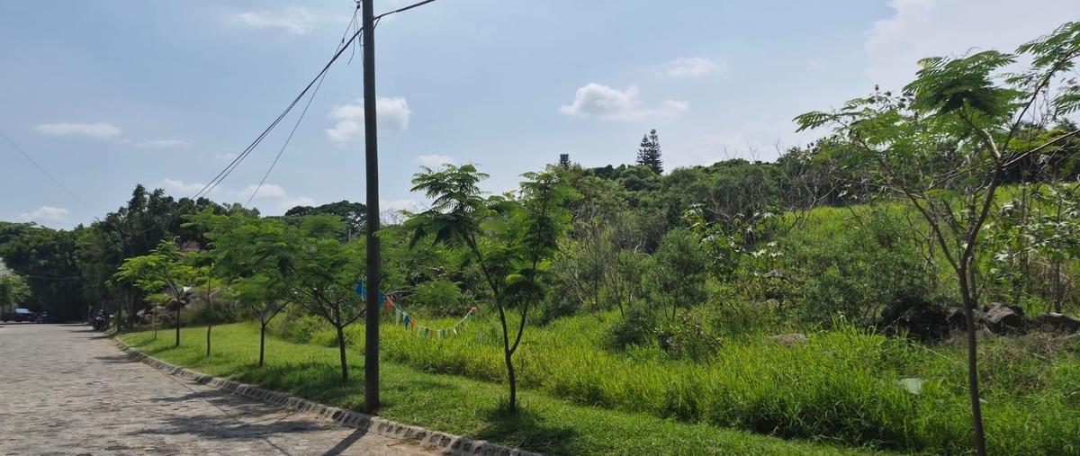 Foto de terreno habitacional en venta en  , vista hermosa, cuernavaca, morelos, 31248859 No. 04