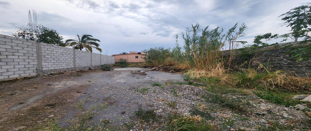 Foto de terreno habitacional en venta en  , vista hermosa, cuernavaca, morelos, 0 No. 03