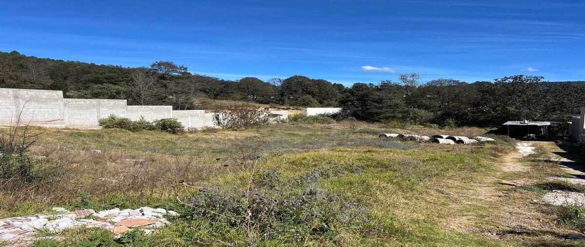 Foto de terreno habitacional en renta en vista hermosa huitepec , vista hermosa, san cristóbal de las casas, chiapas, 0 No. 05