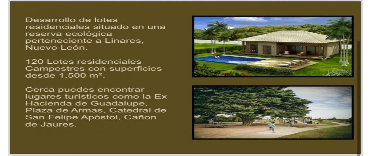 Foto de terreno habitacional en venta en  , vista hermosa, linares, nuevo león, 0 No. 05