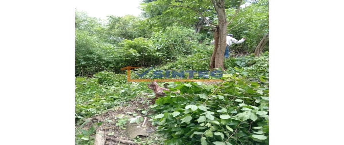 Foto de terreno habitacional en venta en  , vista hermosa, tuxpan, veracruz de ignacio de la llave, 28782790 No. 03