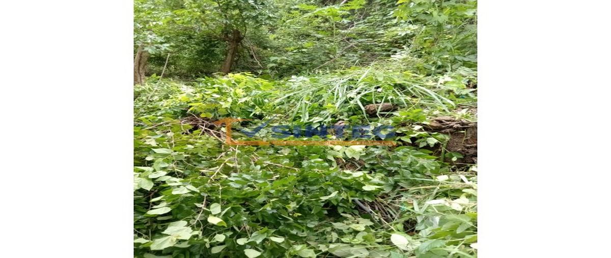 Foto de terreno habitacional en venta en  , vista hermosa, tuxpan, veracruz de ignacio de la llave, 28782790 No. 04