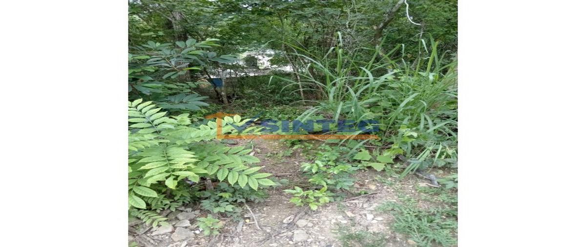 Foto de terreno habitacional en venta en  , vista hermosa, tuxpan, veracruz de ignacio de la llave, 28782790 No. 05