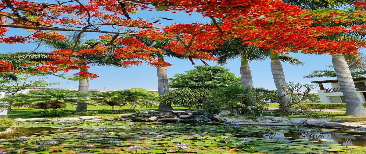 Foto de casa en renta en  , vista santa fe, xochitepec, morelos, 0 No. 04