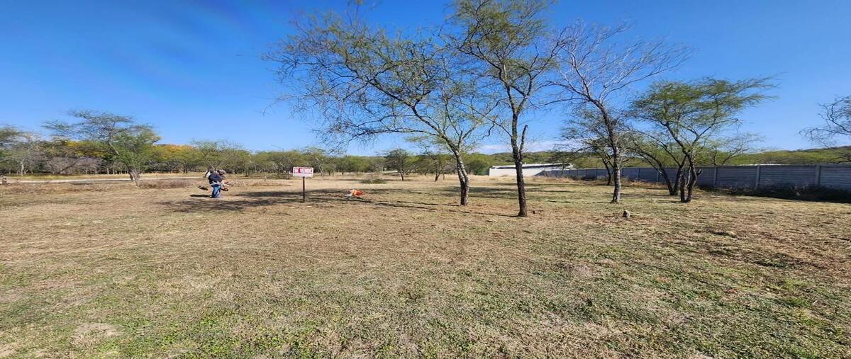 Foto de terreno habitacional en venta en vistaencionos , las palmas, montemorelos, nuevo león, 29432856 No. 05