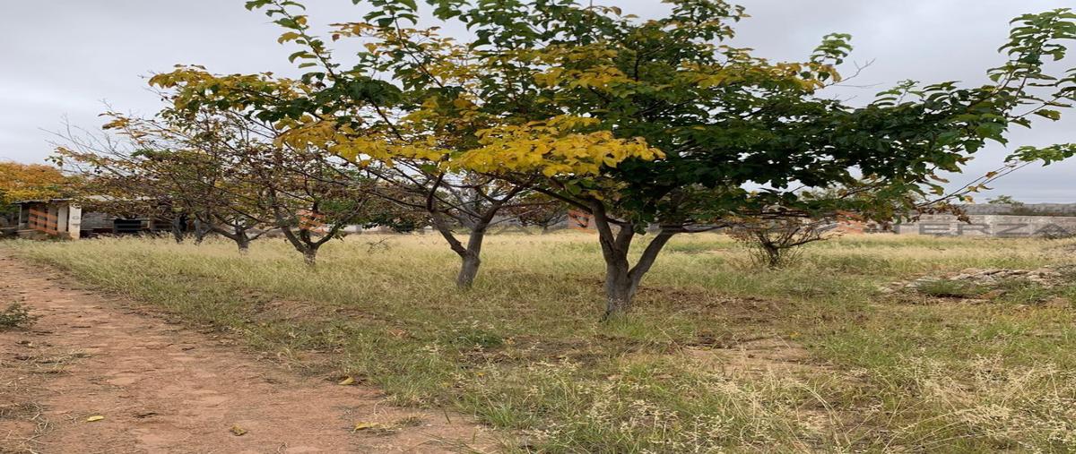 Foto de terreno habitacional en , vistas del sacramento, chihuahua, chihuahua, 27386487 foto 02 Foto de terreno habitacional en venta en , vistas del sacramento, chihuahua, chihuahua, 27386487 No. 02