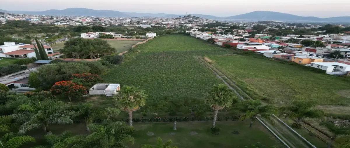 Foto de rancho en venta en vivero 101, atlixco centro, atlixco, puebla, 29190212 No. 04