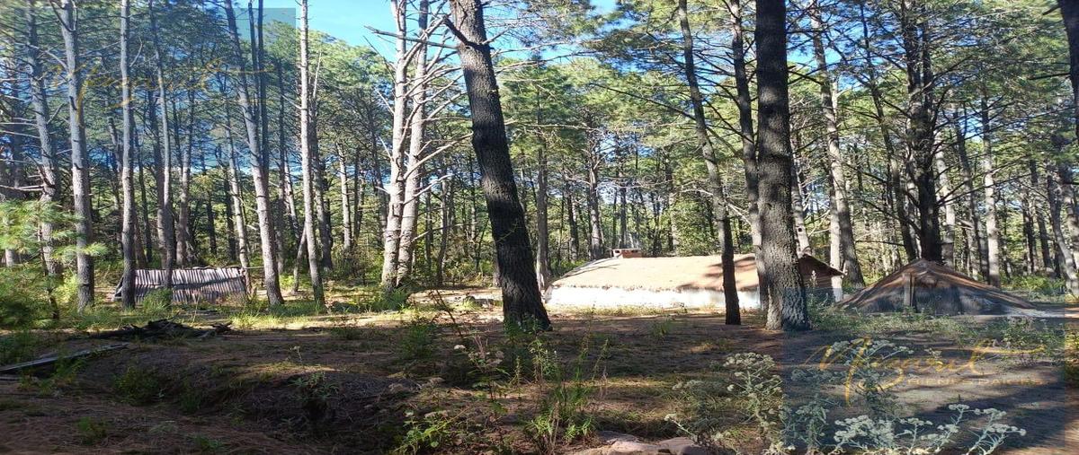 Foto de terreno habitacional en venta en  , vivero malintzi, san francisco tetlanohcan, tlaxcala, 29006904 No. 03