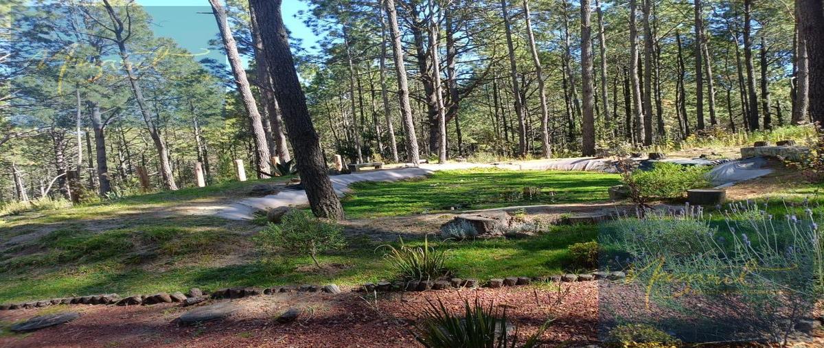 Foto de terreno habitacional en venta en  , vivero malintzi, san francisco tetlanohcan, tlaxcala, 0 No. 05