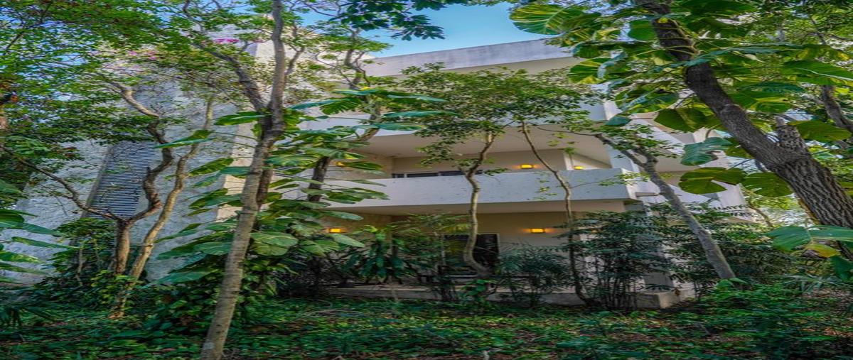 Foto de edificio en venta en vivero , tumben kaa, tulum, quintana roo, 28173142 No. 03