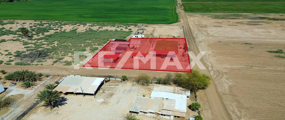 Foto de terreno habitacional en venta en vivero y ayuntamiento , islas agrarias a, mexicali, baja california, 27831937 No. 03