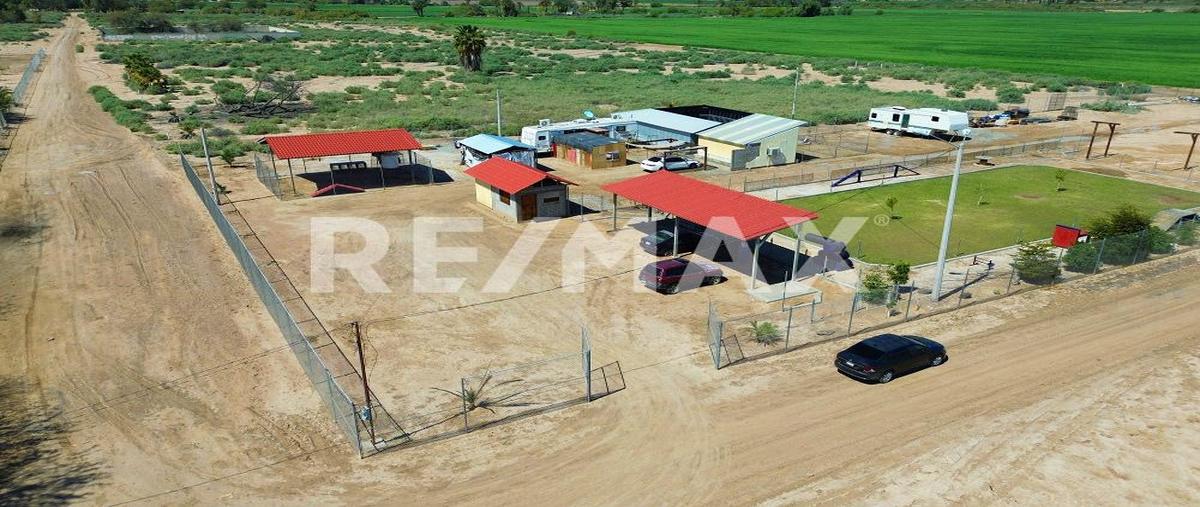 Foto de terreno habitacional en venta en vivero y ayuntamiento , islas agrarias a, mexicali, baja california, 27831937 No. 04