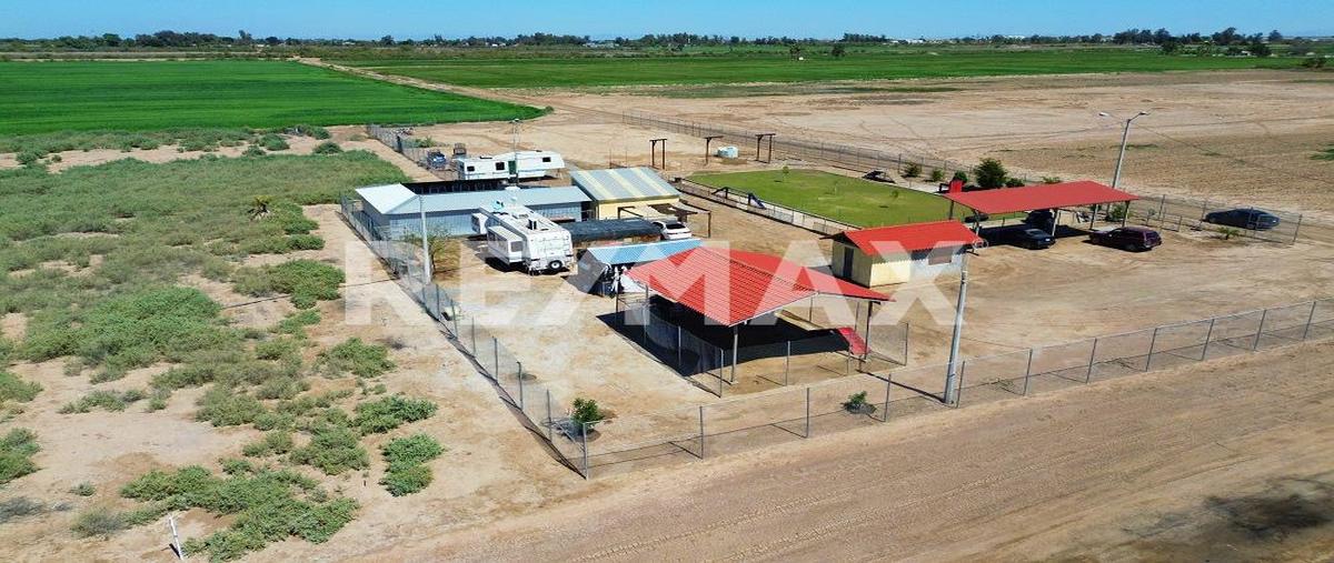 Foto de terreno habitacional en venta en vivero y ayuntamiento , islas agrarias a, mexicali, baja california, 27831937 No. 05