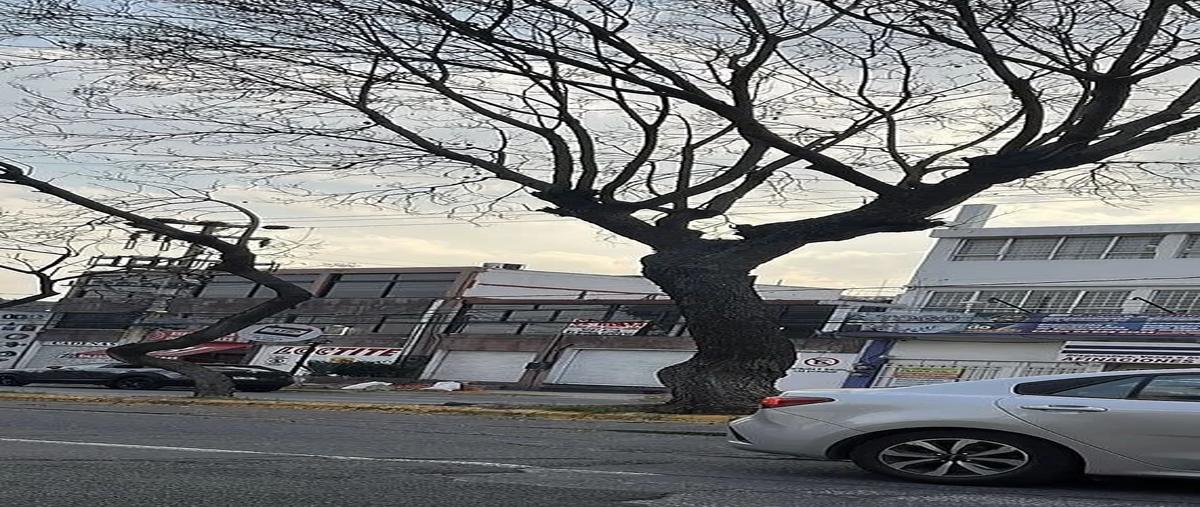 Foto de local en renta en viveros de atizapán , viveros de la loma, tlalnepantla de baz, méxico, 30871091 No. 04