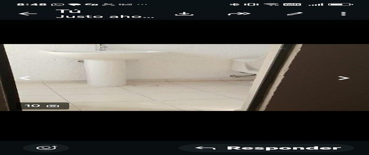 Foto de local en renta en viveros , viveros de la loma, tlalnepantla de baz, méxico, 31133648 No. 06