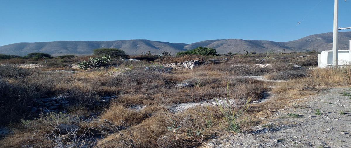 Foto de terreno comercial en venta en vizarrón cadereyta , vizarrón de montes, cadereyta de montes, querétaro, 23485447 No. 03