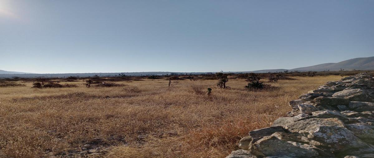Foto de terreno comercial en venta en vizarrón cadereyta , vizarrón de montes, cadereyta de montes, querétaro, 23485447 No. 04