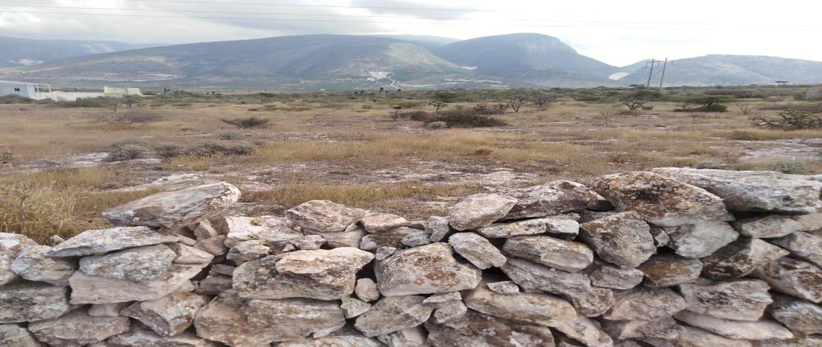 Foto de terreno habitacional en venta en  , vizarrón de montes, cadereyta de montes, querétaro, 0 No. 03