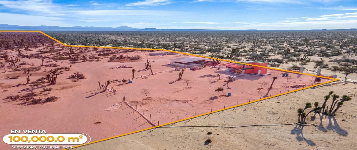 Foto de terreno habitacional en venta en  , vizcaíno, mulegé, baja california sur, 29219570 No. 04