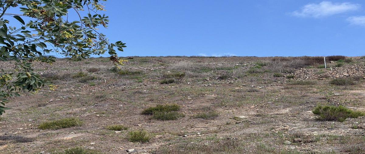 Foto de terreno habitacional en venta en volcán , moderna, ensenada, baja california, 30935688 No. 03