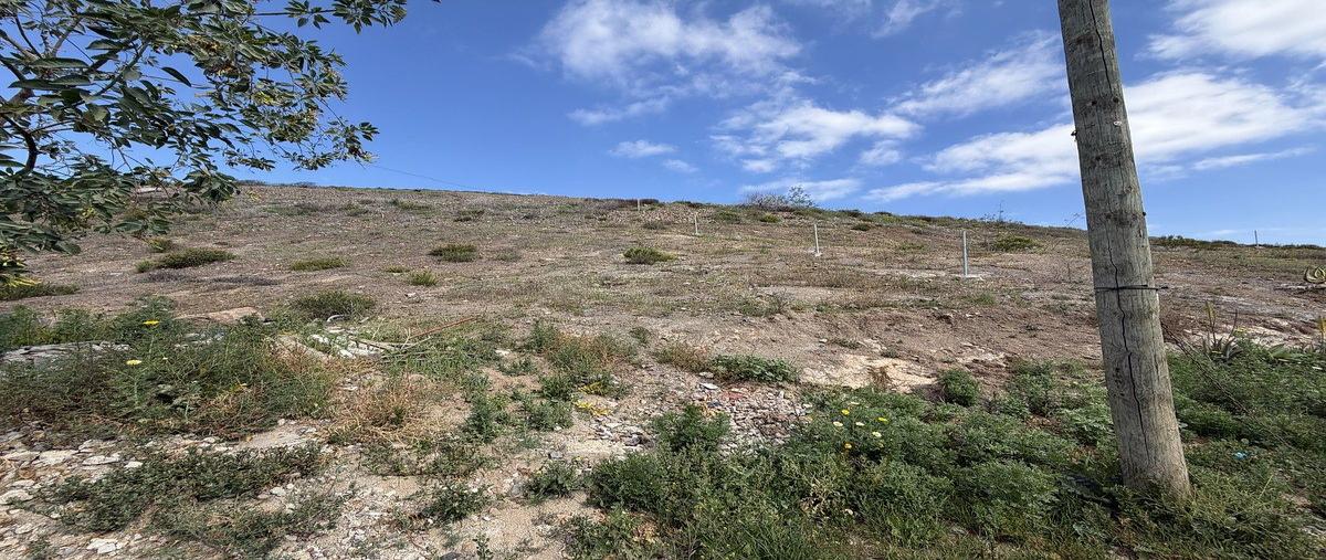 Foto de terreno habitacional en venta en volcán , moderna, ensenada, baja california, 30935688 No. 05