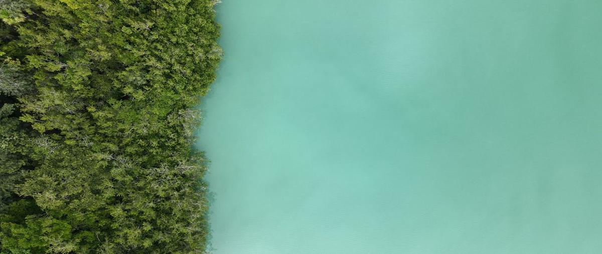 Foto de terreno habitacional en vqhx+84 , buenavista, bacalar, quintana roo, 0 foto 02 Foto de terreno habitacional en venta en vqhx+84 , buenavista, bacalar, quintana roo, 0 No. 02