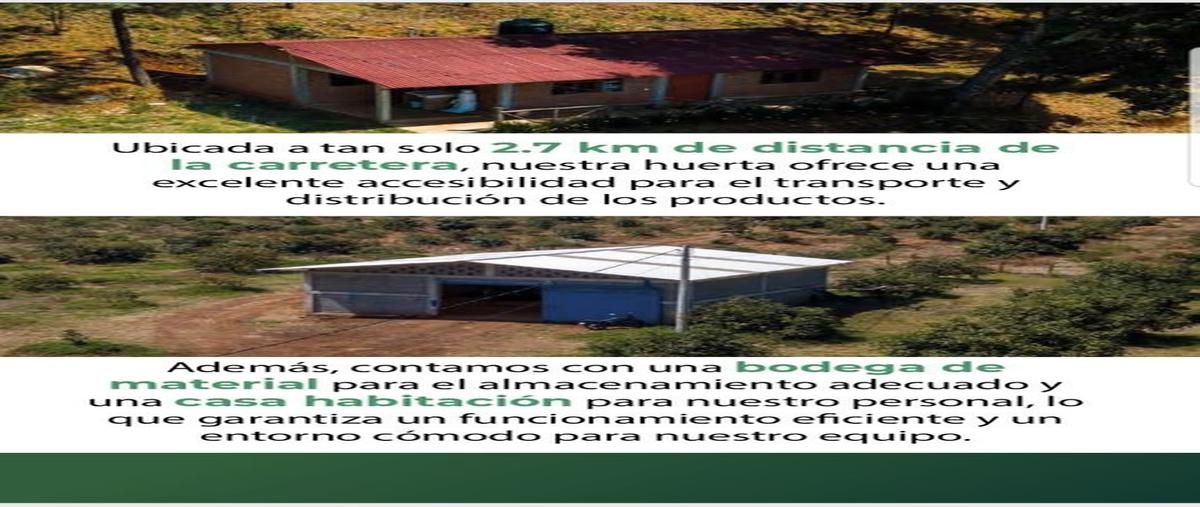 Foto de rancho en venta en x , acuitzio del canje, acuitzio, michoacán de ocampo, 0 No. 03